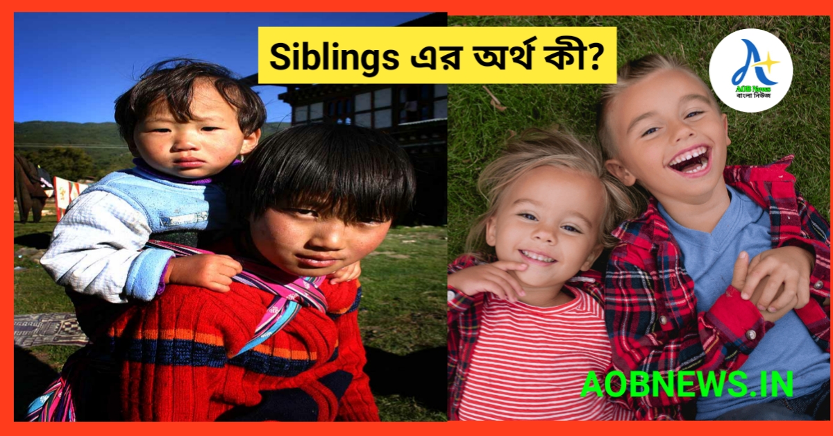 Siblings মানে বাংলাতে – Siblings এর অর্থ কী?